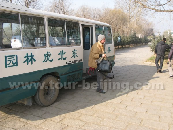 Siberian Tiger Park Harbin